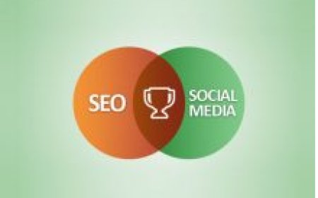 Sosyal Medya ve SEO